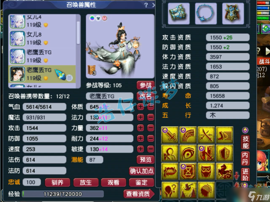 梦幻西游:109顶级女儿村，7只神马宠堪称封系天花板！
