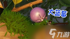 禁闭求生2怎么获取蓝莓
