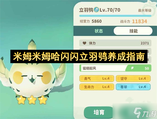 米姆米姆哈闪闪立羽鸮养成指南