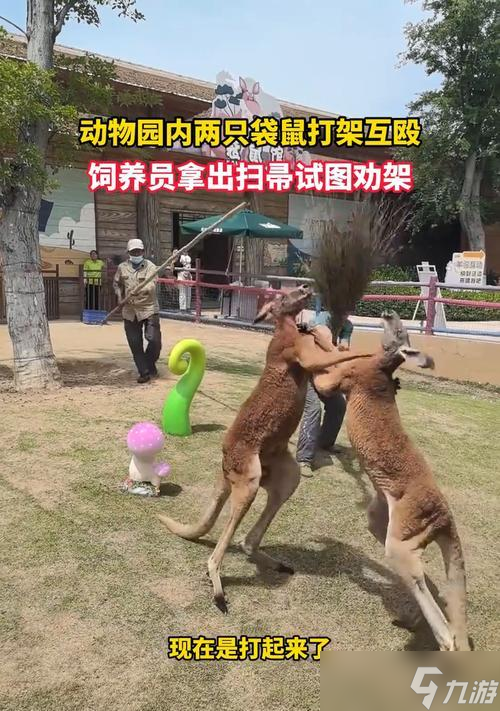 动物派对中的终极技巧（如何运用捡东西打人技巧在动物派对中获得胜利）
