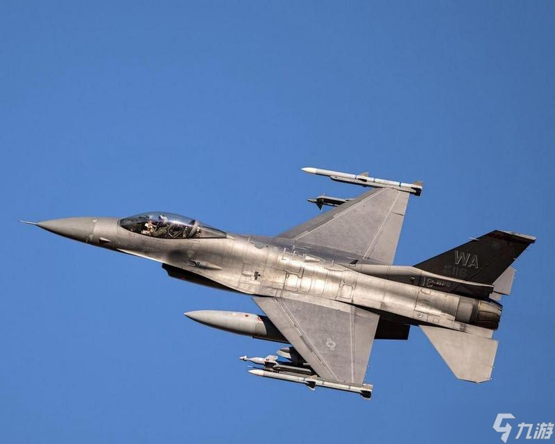 《F16戰(zhàn)斗機秘籍大全》（游戲攻略、技巧與策略大揭秘）