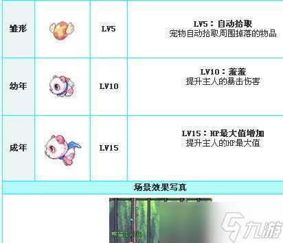 彩虹岛宠物技能物品贩卖使用方法是什么？