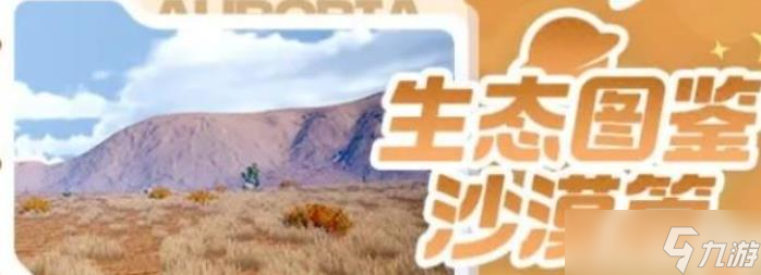 《我们的星球》沙漠生物介绍