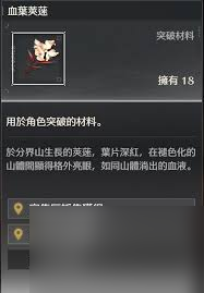 鸣潮弗洛洛突破需要哪些材料