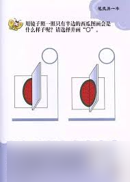 镜子能成像是因为光的什么原理