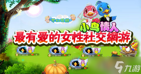 小鸟情人新手易忽略哪些问题：爱鸟养鸟的避坑指南