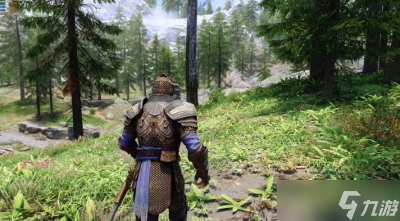 《上古卷轴5：天际》新MOD：支持DLSS4多帧生成功能