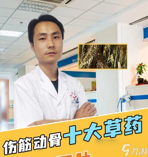 寻仙跌打药的正确使用方法是什么？跌打药在战斗中的作用如何？