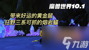 魔兽世界中狡猾的老鼠在哪抓