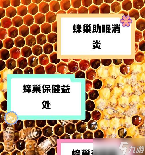 《家园卫士》蜂巢攻略 解密家园卫士中的蜂巢模式 