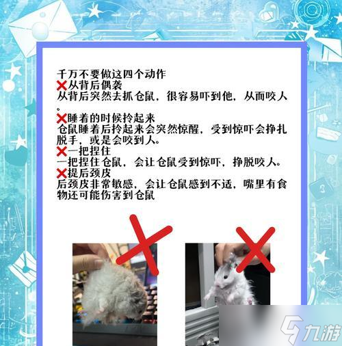 绝地求生遇到老鼠如何应对？老鼠出现的频率是多少？