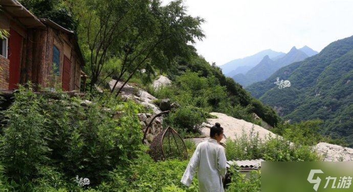 问道采药的正确方法是什么？有哪些注意事项？