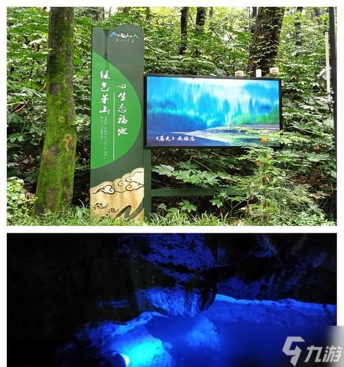 寻仙中前往毛山山洞的方法是什么？