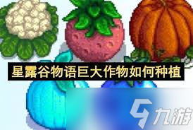 星露谷物语如何种植巨大作物