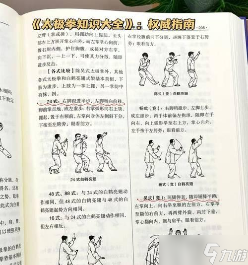 問道中開啟逍遙鶴飛行效果的步驟是什么