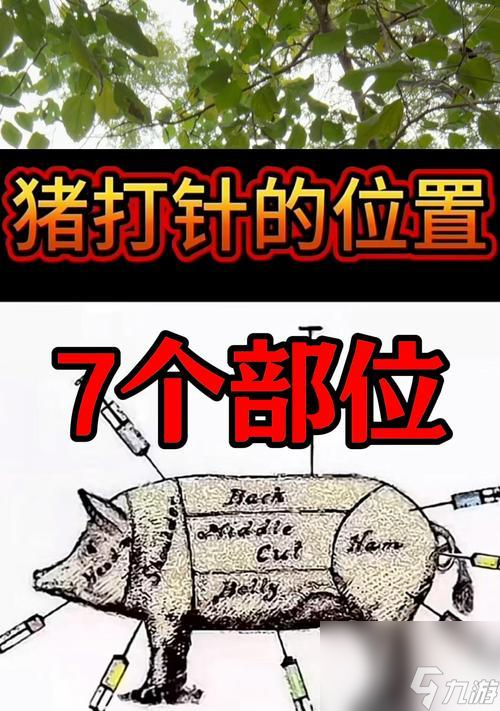 问道猪定位方法是什么？如何快速找到猪的位置？