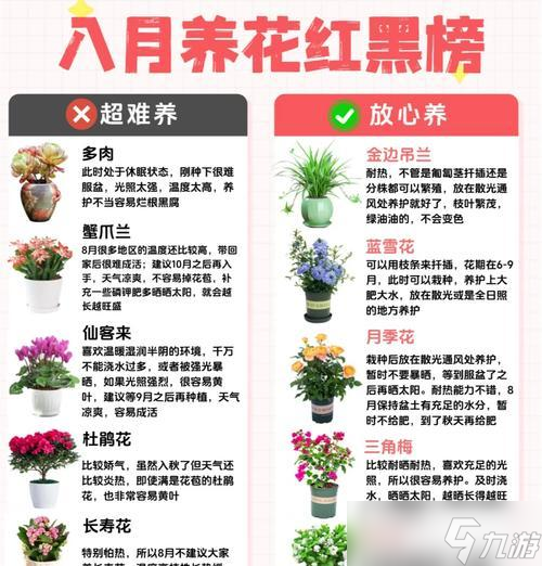 如何在大话西游中多种花？种植技巧有哪些？