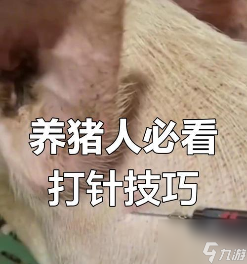 问道猪定位方法是什么？如何快速找到猪的位置？