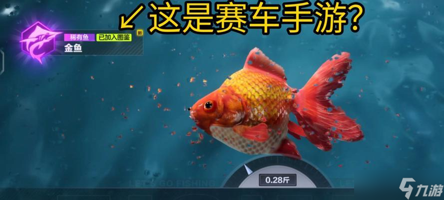 QQ飞车养鱼偷鱼技巧大揭秘 以游戏为主 
