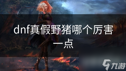 dnf真假野豬哪個厲害一點