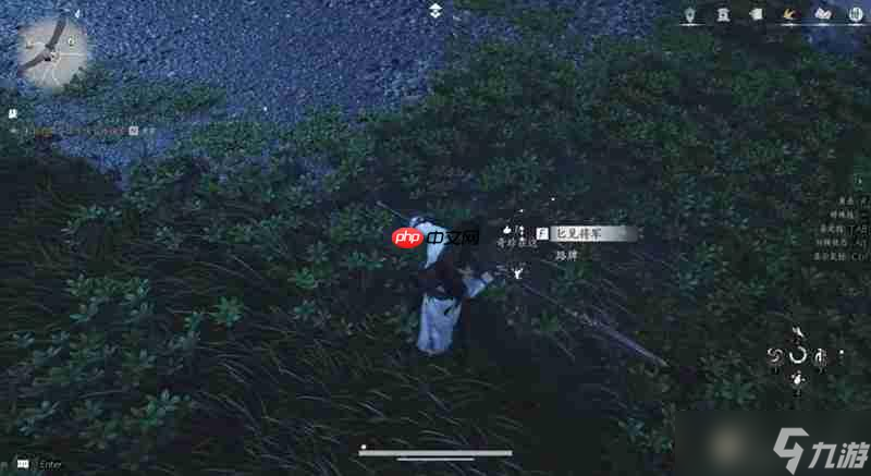 燕云十六声奇珍系统怎么玩 燕云奇珍蹊跷收集介绍