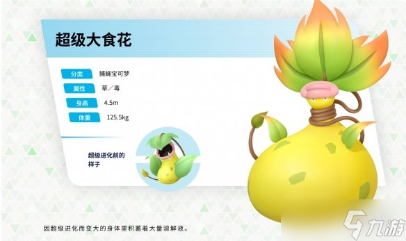 《寶可夢傳說 Z-A》mega大食花公布 大胃袋還挺可愛