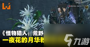 怪物獵人荒野一夜花的月華粉怎么刷