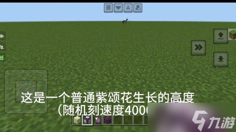 我的世界紫颂花怎么种