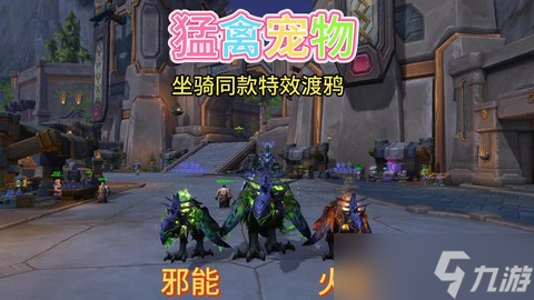 魔兽世界什么宠物最厉害