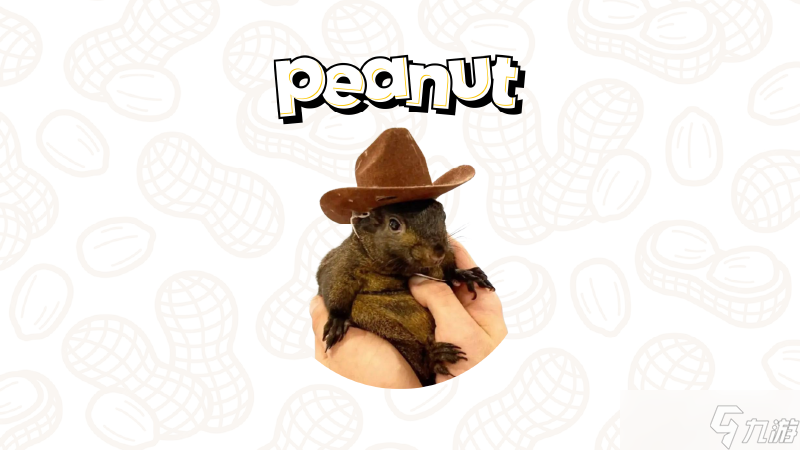 松鼠币 PNUT 能否突破10美元 PNUT价格预测解析