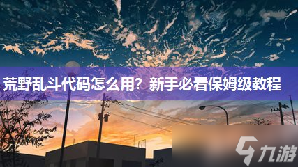 荒野乱斗代码怎么用 新手必看保姆级教程
