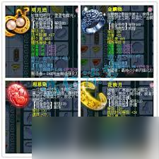 梦幻西游159花果如何展示装备