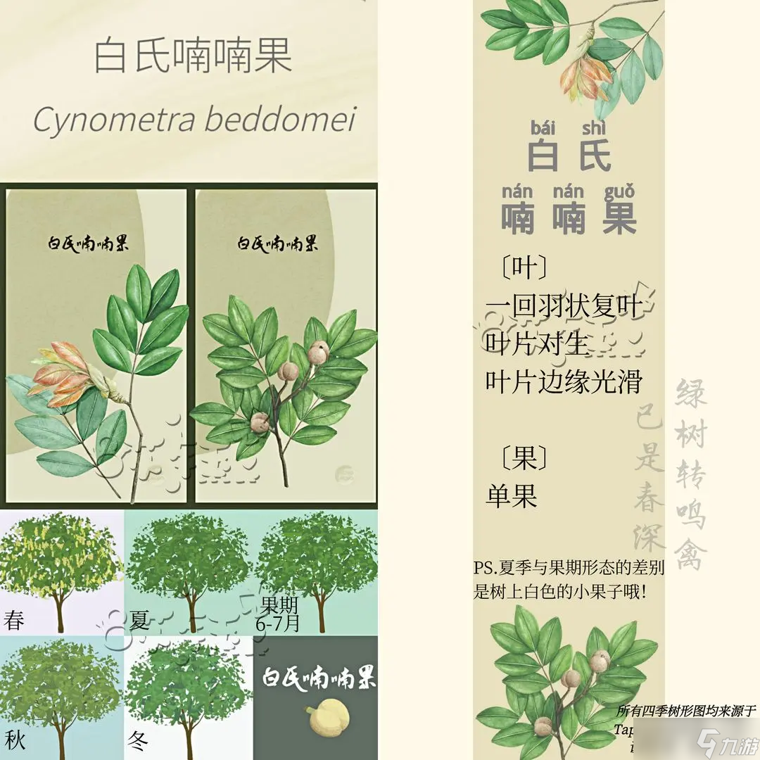 老农种树游戏四季树种答案 附图 