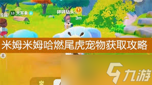 米姆米姆哈燃尾虎如何进行约会