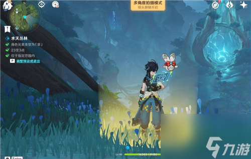 原神提瓦特忆画雪幕前事第三天留影点位置 映阳之花&水天丛林