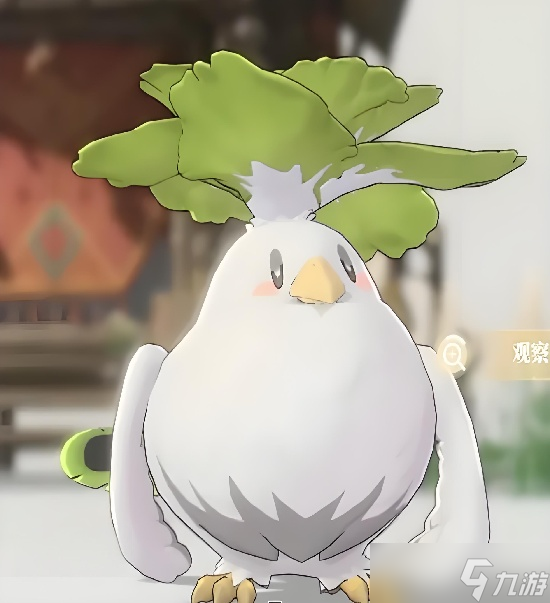 蓝色星原旅谣奇波分布在哪里