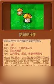 植物大戰(zhàn)僵尸雜交版辣椒陽光菇怎么玩