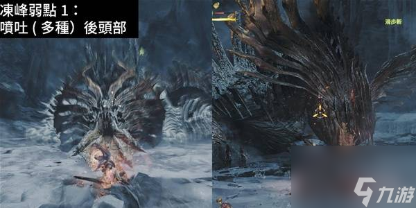 怪物猎人荒野9星冻峰龙弱点及打法