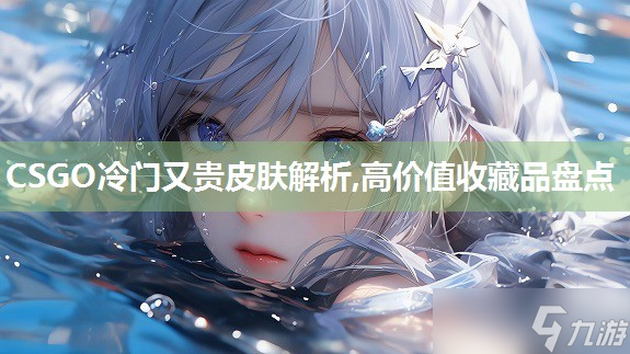 CSGO冷門又貴皮膚解析,高價(jià)值收藏品盤點(diǎn)