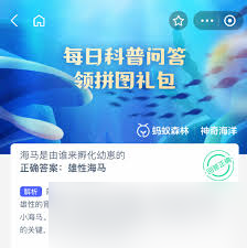 海马由谁孵化幼崽