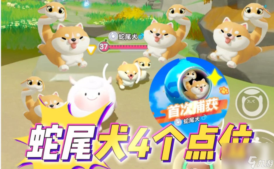 宠物阿里刷新时间是什么