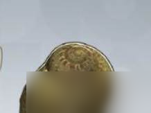 《开放空间》赶海收集物