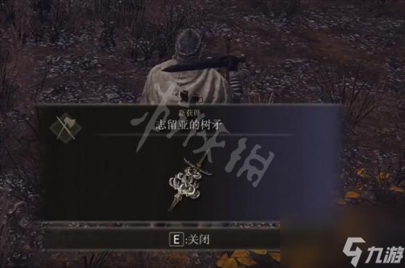 《艾尔登法环》志留亚的树矛怎么获得 志留亚的树矛获得方法