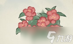 桃源深处有人家凤仙花怎么培育颜色