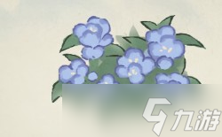 桃源深处有人家凤仙花怎么培育颜色