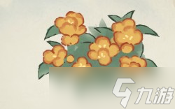 桃源深处有人家凤仙花怎么培育颜色