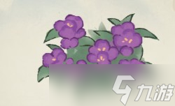 桃源深处有人家凤仙花怎么培育颜色