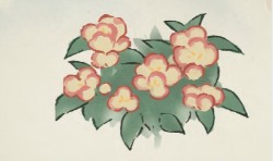 桃源深处有人家凤仙花怎么培育颜色