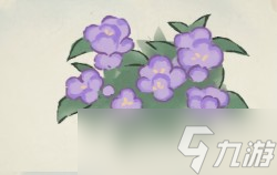 桃源深处有人家凤仙花怎么培育颜色