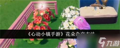心动小镇手游花朵怎么杂交 花朵杂交技巧指南